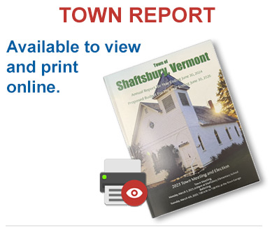 view town report